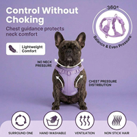 Nouvel ensemble d'accessoires pour chien personnalisé avec logo sur mesure, gamelle portable de luxe en PVC néoprène, harnais et laisse pour chien