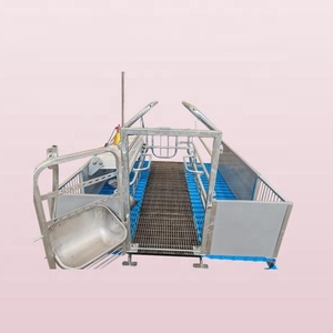 Perfect Pig Farrowing Crate New HENGYIN Brand CE Certified ISO 9001 Anti-Corrosion Hot Dip Galvanized Steel - Product Image 2