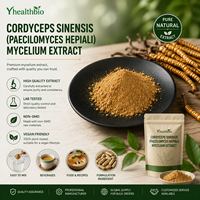 Poudre d'extrait de mycélium de Cordyceps Sinensis de haute pureté, matière première de champignon fermenté Paecilomyces Hepiali, qualité alimentaire
