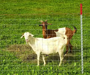 울타리, 경첩 공동 울타리 malla para cabras