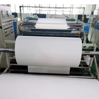 Rollo de Película Termoadhesiva Maiqi Pu para Transferencia de Calor a Alta Temperatura, Vinilo Termocolante para Impresión de Prendas, Plotter, Warm Peel