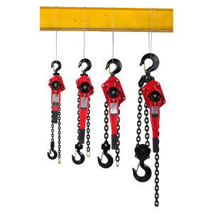 Polipasto Manual de Cadena de Alta Calidad de 0.75T, Polipasto Manual con Palanca de Trinquete de 6m, Herramientas de Elevación con Certificación CE - Product Image 1