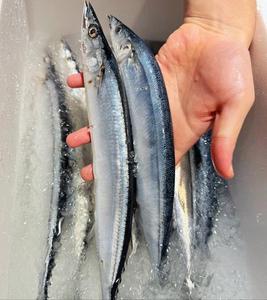 Sgombro del Pacifico Congelato Intero IQF Premium 200-300g Biologico a Basso Contenuto di Sale Confezione Bulk Pesce Saury Servizio OEM Fonte Marina Pulita - Product Image 3