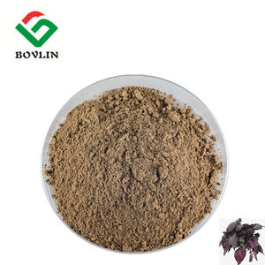 Pure <span class=keywords><strong>Perilla</strong></span> Leaf Extract Poeder Food Grade <span class=keywords><strong>Perilla</strong></span> Leaf Extract Poeder 10:1 20:1 Voor Gezondheidszorg Supplement - Product Image 3