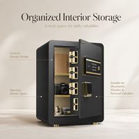Caja Fuerte de Seguridad para el Hogar y Hoteles, de Acero Aleado, con Teclado Biométrico de Huellas Dactilares y 4 Pernos de Acero, Interior Dorado de Lujo