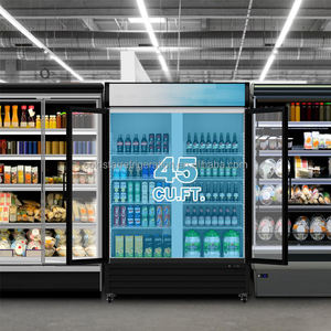 Réfrigérateur Vitrine Commercial Vertical à Double Porte pour Boissons, Température Unique, Ventilé, Capacité 900L, Numérique - Product Image 4