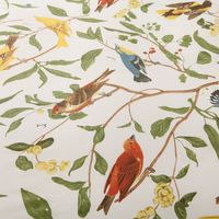 Ensemble de literie en coton 100% 300TC, imprimé avec des oiseaux, tissu naturel écologique, doux et soyeux