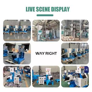 Thức ăn cho chó và mèo khô hoàn thành dây chuyền chế biến/thức ăn gia súc giãn nở để làm thức ăn cho vật nuôi và máy đùn thức ăn cho cá - Product Image 6