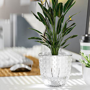 <span class=keywords><strong>Maceta</strong></span> de plástico transparente, <span class=keywords><strong>maceta</strong></span> autoabsorbente perezosa, planta hidropónica <span class=keywords><strong>sin</strong></span> riego - Product Image 4