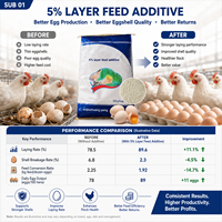 Prémélange pour la ponte précoce : Soutien nutritionnel équilibré pour l'élevage de poulettes, usage agricole et production locale d'aliments.