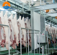 Projet clé en main d'abattoir porcin automatique, équipement de traitement de la viande, machinerie clé en main à grande échelle