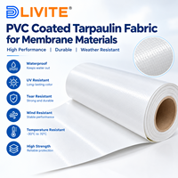 Rouleaux de bâche PVC blanche de 3,2 m de large, tissu membrane tendue en PVC, haute résistance à la déchirure, pour l'architecture de toiture