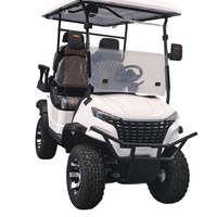 Voiturette de golf classique à siège épais, design populaire, buggy de tourisme, chariot de golf au lithium – Marchés USA, Espagne, Italie