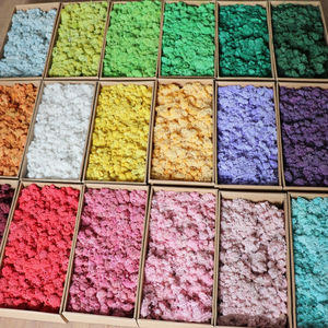 गर्म बिक्री रंगीन रेहिरण मॉस ने परिदृश्य दीवार फर्श डिकोड के लिए घास सफेद काले नीले स्थिर मॉस को संरक्षित किया - Product Image 1