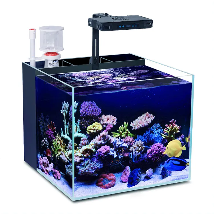 Personalizado aquário HD vidro claro marinho tanque Reef Aquarium aquário de água salgada