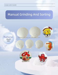 Alami dipilih ramah lingkungan bentuk unik ukuran berbeda permukaan halus kerajinan dekoratif kualitas tinggi kerang - Product Image 6