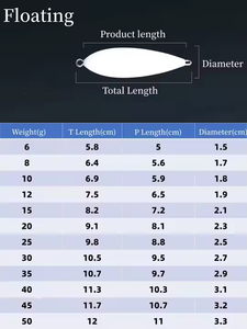 Flotteurs de pêche Sbirolino <span class=keywords><strong>Bombette</strong></span> de haute qualité, 6g-50g, ABS, flottants, à descente lente, pour la pêche en eau douce, saumon, brème, rivière, ruisseau - Product Image 4
