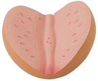 Jouet anti-stress en mousse PU en forme de pied à prix réduit, balles anti-stress en mousse de haute qualité en forme de pied