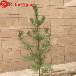 <span class=keywords><strong>Grès</strong></span> rose, tapisserie pour revêtement mural extérieur - Product Image 3