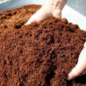 Canada USA Sẵn Sàng Vận Chuyển Khối Cocopeat Thấp EC 5KG - Product Image 2