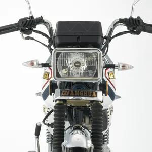 Motocicletta motorizzata con alimentazione 125cc personalizzata in fabbrica Changhua