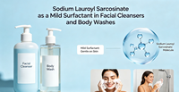 Sodium Lauroyl Sarcosinate / Sodium N-lauroylsarcosinate 99% min ou 30% min CAS 137-16-6 Tensioactif pour nettoyants visage