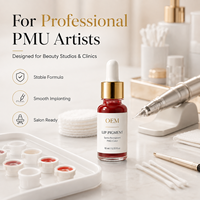 Encre de microblading en gros, formule 100% pure et végane pour le blush des lèvres, l'eye-liner, pâte de couleur semi-permanente