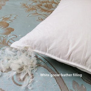 Reine taille blanc pur <span class=keywords><strong>oie</strong></span> et <span class=keywords><strong>duvet</strong></span> de canard oreiller solide motif coton tissu couverture <span class=keywords><strong>prix</strong></span> - Product Image 5