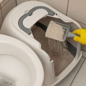 Arena para Gatos de Bentonita de Aglutinación Rápida, Baja Retención y Fácil Limpieza, Venta al por Mayor - Product Image 6
