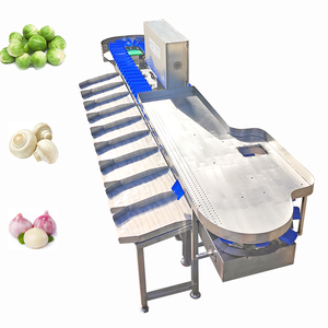 Máquina Clasificadora <span class=keywords><strong>de</strong></span> Frutas y Verduras <span class=keywords><strong>de</strong></span> Alta Resistencia, Nivel 6, 2000 kg <span class=keywords><strong>de</strong></span> Capacidad, <span class=keywords><strong>Precio</strong></span> Directo <span class=keywords><strong>de</strong></span> Fábrica, para Producción Comercial <span class=keywords><strong>de</strong></span> Alimentos - Product Image 5