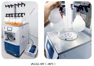 Lyophilisateur de laboratoire LGJ-18T à pression supérieure, mini-sécheur par congélation sous vide, Chine - Product Image 4