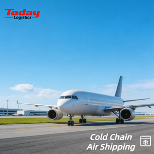 Competitive Rate <b>Air</b>+Express Temperature Controlled Logistics Insulated Warehousing Packing Support Canada Australia New Zealand - Product Image 1