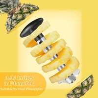 Outil manuel en acier inoxydable pour éplucher et trancher les fruits, coupe-ananas domestique, extracteur de noyau