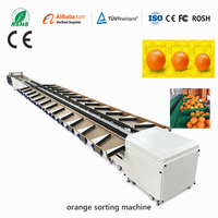 Prix de la machine de calibrage de tri de fruits Orange Mangue Pomme Avocat Lavage des fruits Cirage Séchage Machine de classement