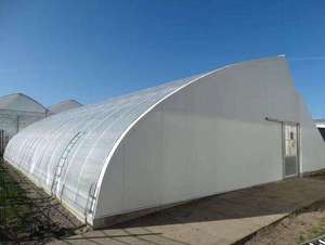 Nhà Cung cấp nhà máy <span class=keywords><strong>LDPE</strong></span> polythene mulch nhựa phim phân hủy PE Chất liệu Weed điều khiển cho nông nghiệp sử dụng vườn - Product Image 4