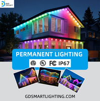 Lumières de décoration intelligentes pour maison connectée 36V, éclairage de Noël extérieur permanent, étanche IP67, certificat RGBW, point lumineux LED pixel