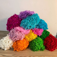 Vente en gros de fleurs séchées, hortensia préservé naturel, fleur d'hortensia rose anna pour la décoration de la maison et du mariage