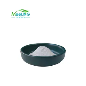 מחיר מפעל תוסף מגנזיום אוקסיד אבקת MgO CAS 1309-48-4