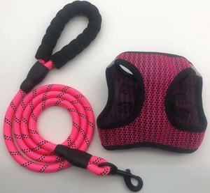 Solid Pattern Hunde geschirr Set Reflektierende Leine Mode Haustier Ausrüstung Personal isierung Verfügbar XS S M L XL XXS Made Polyester - Product Image 2