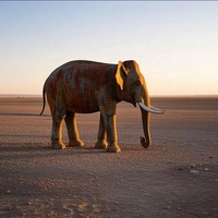 Grande sculpture d'éléphant abstraite antique personnalisable en acier Corten, statue artistique soudée, effet rouillé, épaisseur 2 mm, pour utilisation en parc, logo personnalisé