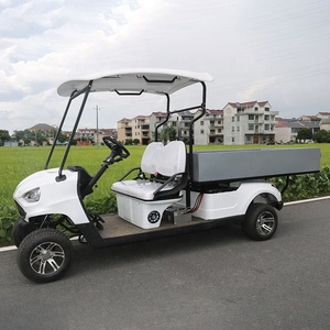 Nuovo Stile di Golf Cart Elettrico, Scooter da Golf, Furgone Elettrico per Trasporto Merci, Golf Cart Motorizzati - Product Image 3