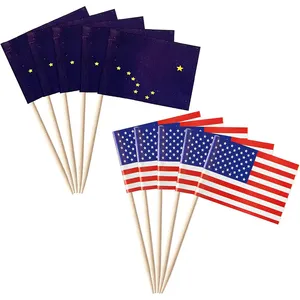 Paesi per scegliere bandiera in legno stuzzicadenti bandiera usa e getta bastoncini per feste