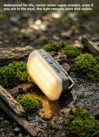 Lampada da Campeggio a LED Portatile Ricaricabile Magnetica 5W 5V con Batteria a Lunga Durata, Luce da Lavoro per Esterni, Ideale per Viaggi Transfrontalieri