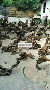 Commercio all'ingrosso di colore giallo di qualità habitat acquatici radice di canapa vite di corallo in legno di sesso opposto lavello in legno - Product Image 5