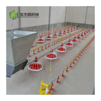 Ligne d'alimentation automatique pour poulailler Tarière Équipement pour volaille Fermes à griller Système d'alimentation à la poêle Machine d'élevage Équipement pour poulet de chair