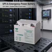 Batterie UPS YUASA NPL38-12 12V 38Ah rechargeable VRLA Gel pour alimentation électrique UPS