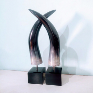 Par de Cuernos de Buey de Alta Calidad Tallados y Pulidos, Decorativos para Sala de Estar y Dormitorio, Ágata - Product Image 1
