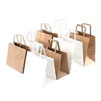 Sac en papier kraft recyclable de luxe avec poignées torsadées et bec verseur pour l'emballage de masques faciaux, la livraison, les plats à emporter, les achats, les cadeaux et les créations artisanales
