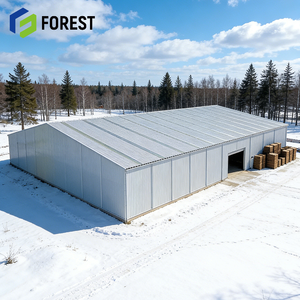 Bâtiment d'entrepôt préfabriqué en acier avec couleur personnalisée pour supermarché, école, centre commercial, parc et abri de garage - Product Image 1