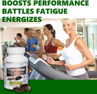 Superfood 90 gélules végétaliennes de haute qualité 420mg extrait de champignon Chaga avec booster du système immunitaire Shilajit de l'Himalaya